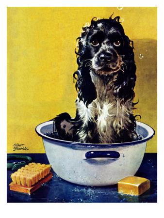 Picture Poster Home Decor 8x10 Cocker Spaniel Art Print from PaintingGifts